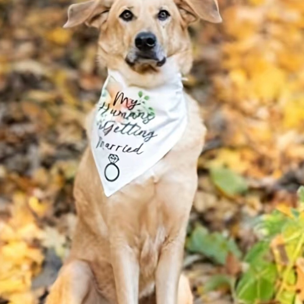 Wedding “My Humans are Getting Wedding” Married Dog Bandana